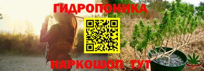 крисы Донецк