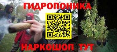 PSILOCYBIN Изобильный
