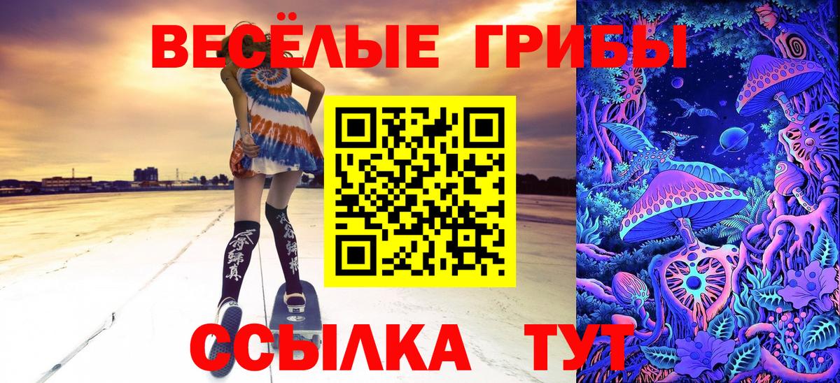 сколько стоит  Вход с VPN  Назрань  Псилоцибиновые грибы ЛСД 